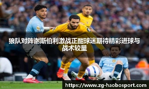 狼队对阵谢斯伯利激战正酣球迷期待精彩进球与战术较量