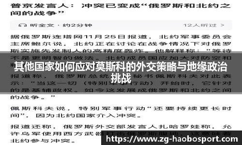 其他国家如何应对莫斯科的外交策略与地缘政治挑战