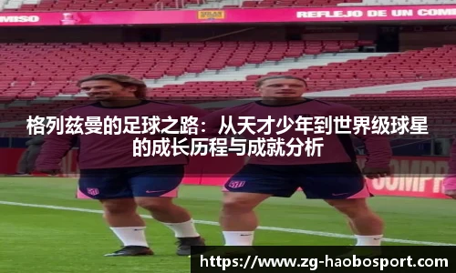 好博体育官网