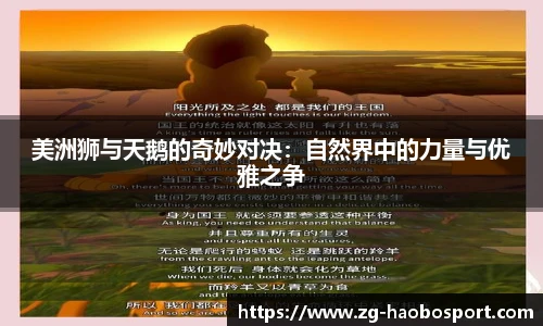 美洲狮与天鹅的奇妙对决：自然界中的力量与优雅之争